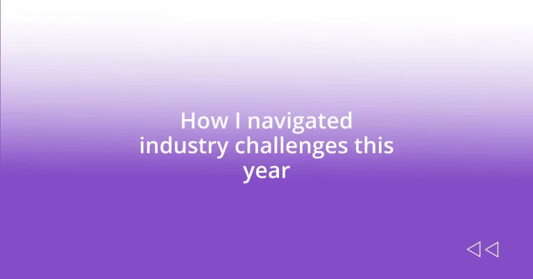 How I navigated industry challenges this year