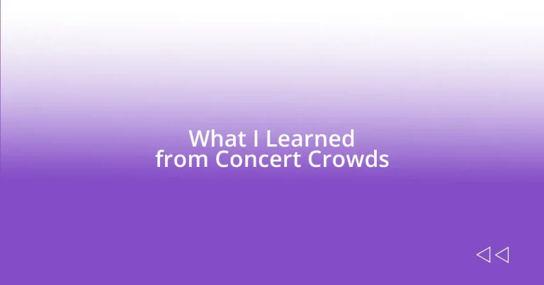 What I Learned from Concert Crowds