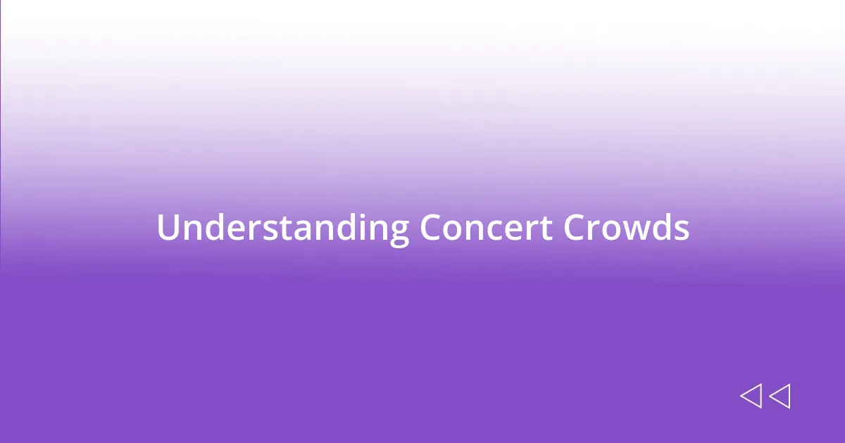 Understanding Concert Crowds